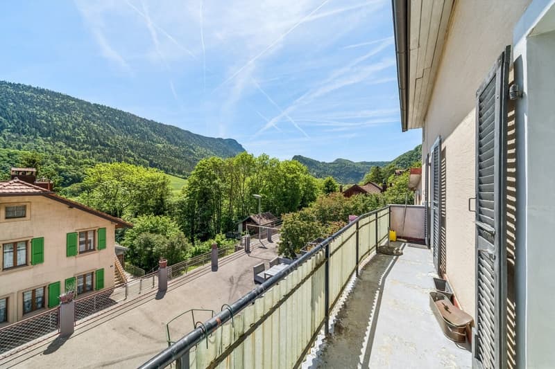 Maison polyvalente - 2 appartements, studio, atelier et grands volumes (3)