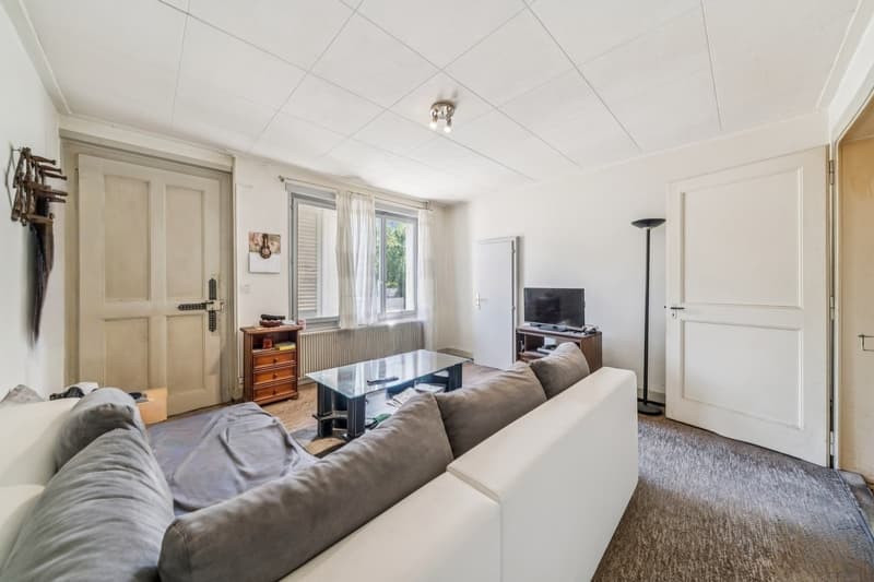 Maison polyvalente - 2 appartements, studio, atelier et grands volumes (11)