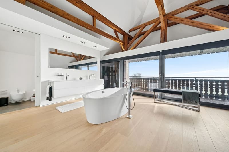 Luxe absolu et discrétion : ferme rénovée avec spa intérieur (12)