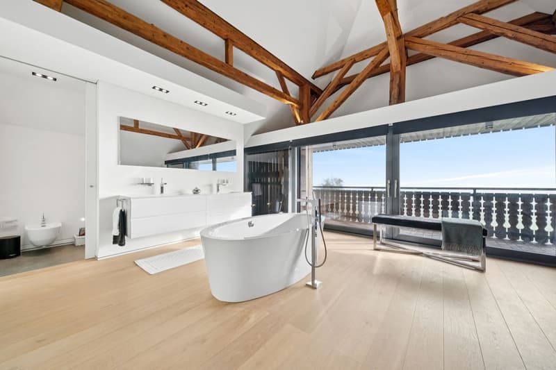 Luxe absolu et discrétion : ferme rénovée avec spa intérieur (12)