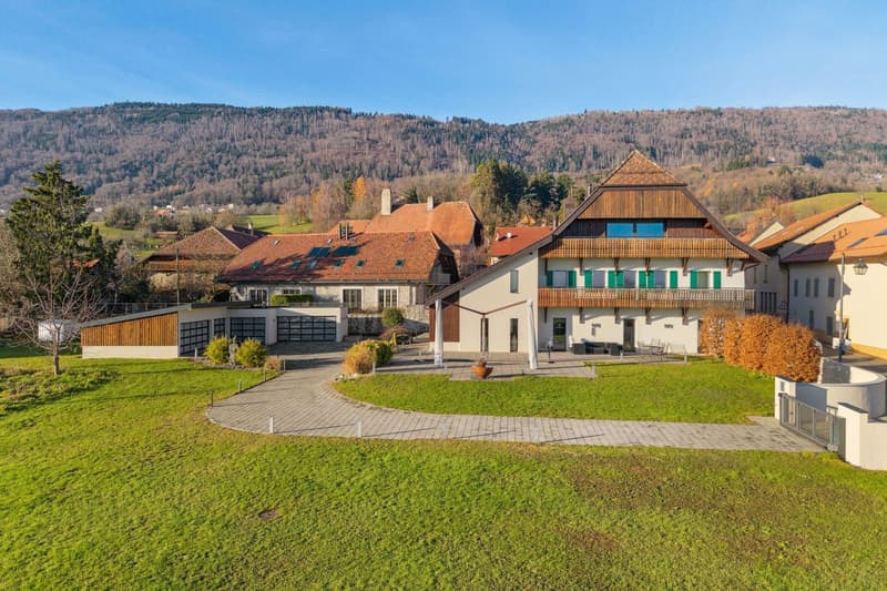 Luxe absolu et discrétion : ferme rénovée avec spa intérieur (1)