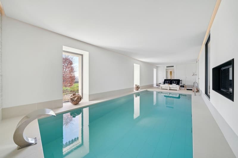 Luxe absolu et discrétion : ferme rénovée avec spa intérieur (4)
