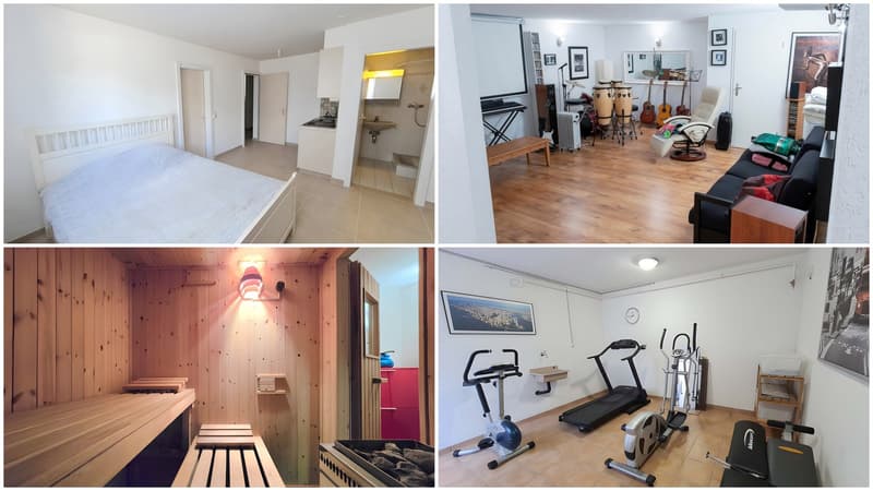 Villa familiale de 7,5 pièces avec studio indépendant de 1,5 pièce, vu (11)
