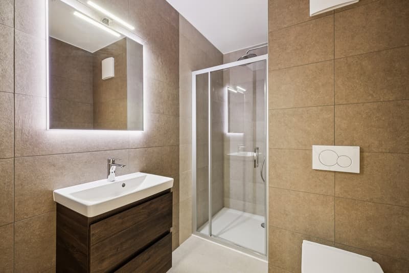 En exclusivité chez Switzerland Sotheby's International Realty (7)