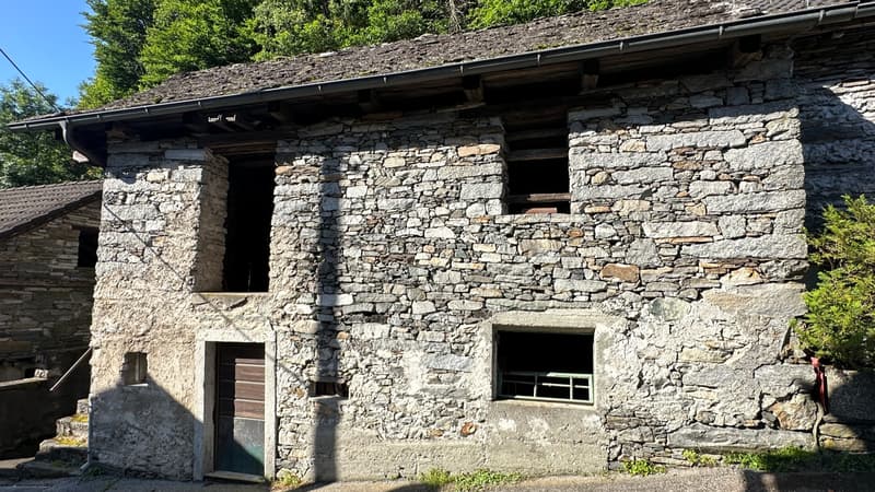 Vista esterna | Aussenansicht