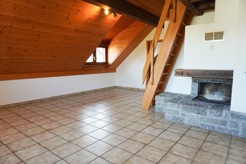 3½-Zi.-Dachwohnung mit Garten & Sitzplatz (3)