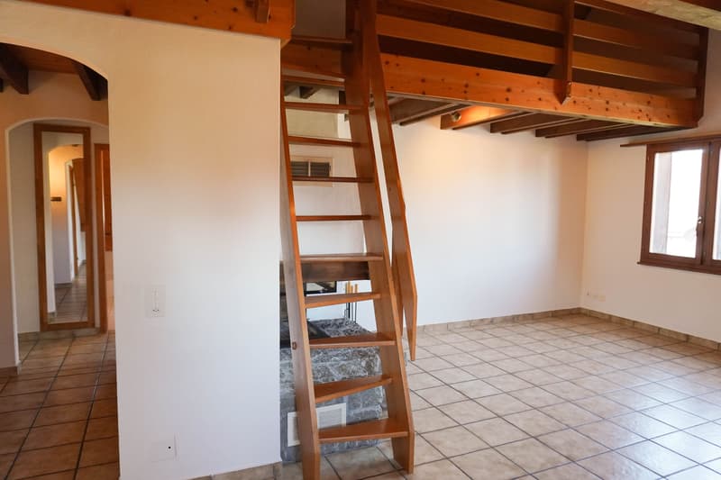 3½-Zi.-Dachwohnung mit Garten & Sitzplatz (4)