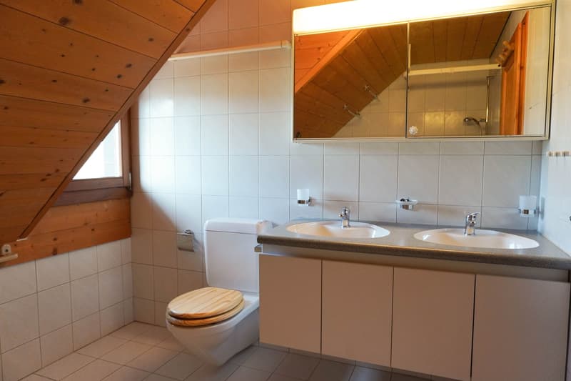3½-Zi.-Dachwohnung mit Garten & Sitzplatz (6)