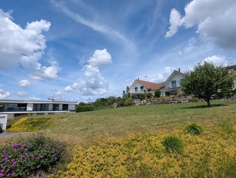 1'283m² Bauland in Oberwil-Lieli (6)