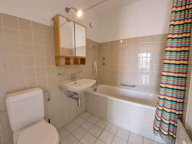 5½-Zimmer-Wohnung mit grosser Terrasse (6)