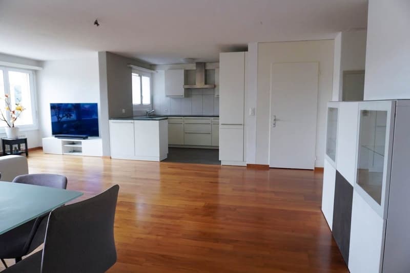 Grosse 5½-Zimmer-Wohnung mit 78 m² Terrasse (3)