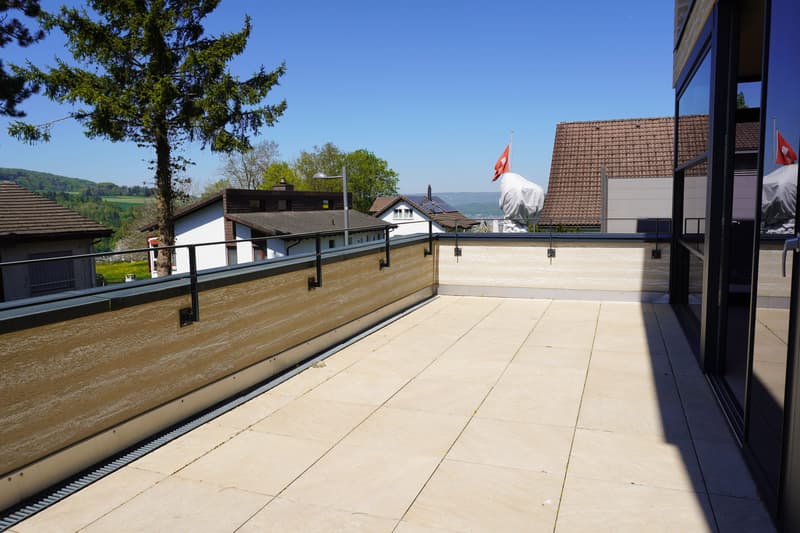 Freistehendes 5½ Zimmer-EFH im Friedlisberg (4)