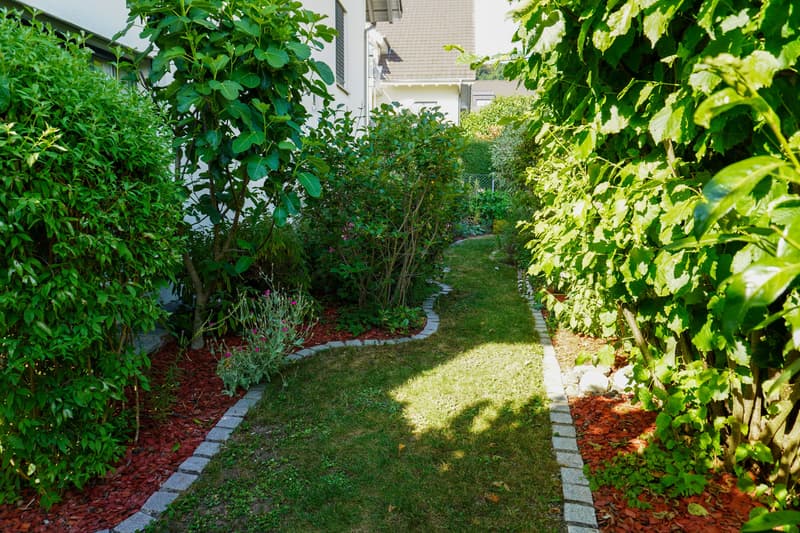 4½ Zimmer-Gartenwohnung im Lindenpark (5)