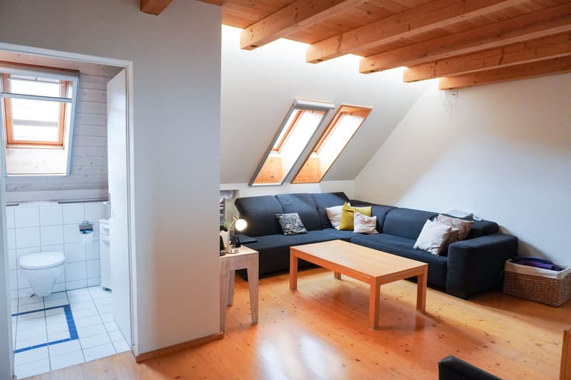 7½-Zimmer-Reihenmittelhaus mit viel Raum auf vier Ebenen (12)