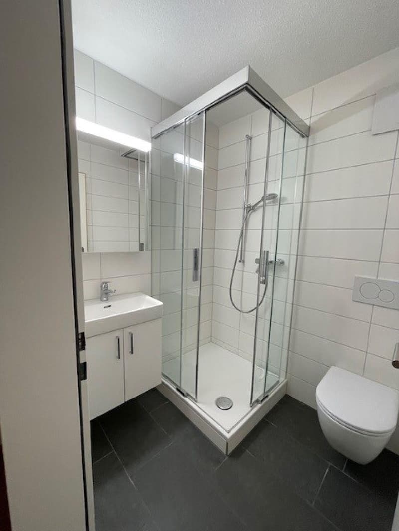 Votre nouvelle maison à Zollikofen ! (6)