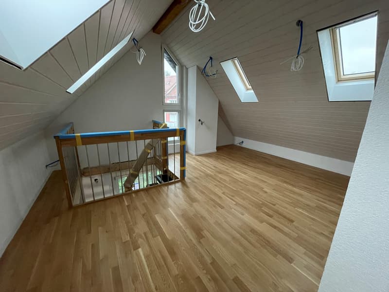 Nouvel appartement en duplex mansardé (3)