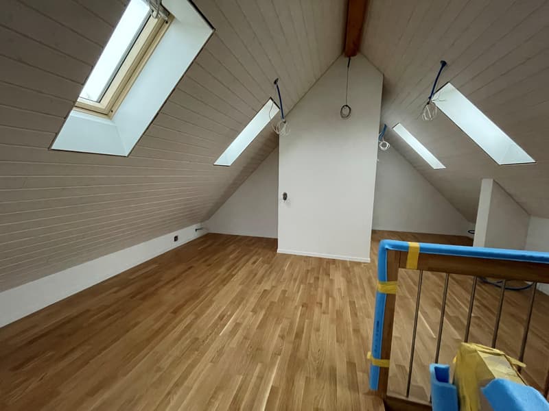 Nouvel appartement en duplex mansardé (2)