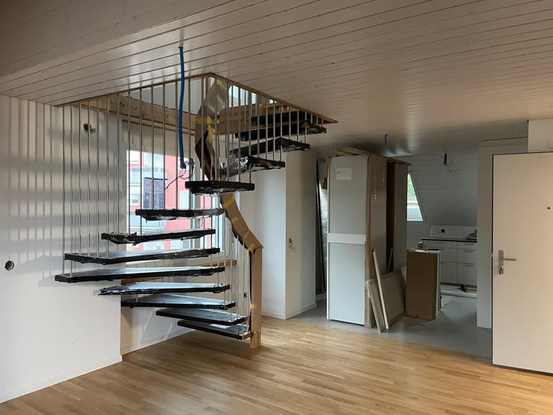 Nouvel appartement en duplex mansardé (5)