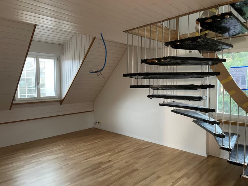 Nouvel appartement en duplex mansardé (4)