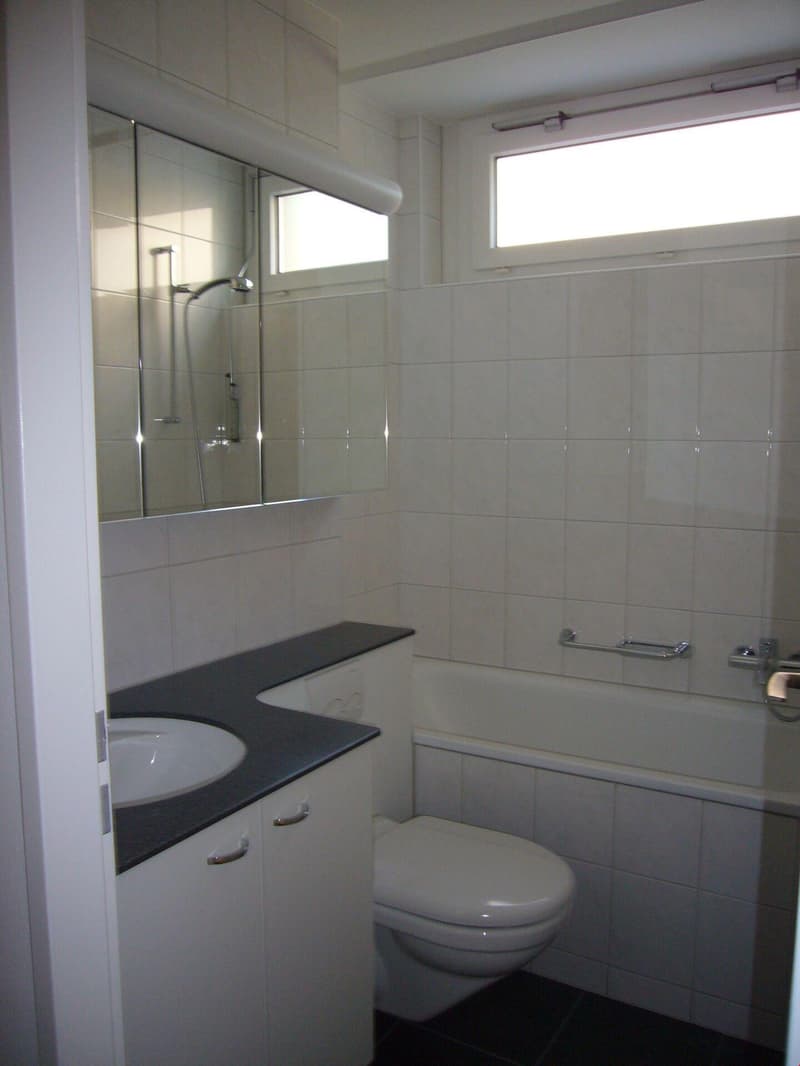 Wohnen mit Gratiseintritt ins Quartierhallenbad Kappelisacker! (2)