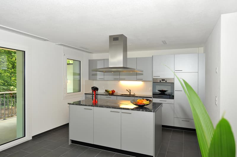 Moderne Erdgeschoss-Wohnung (1)