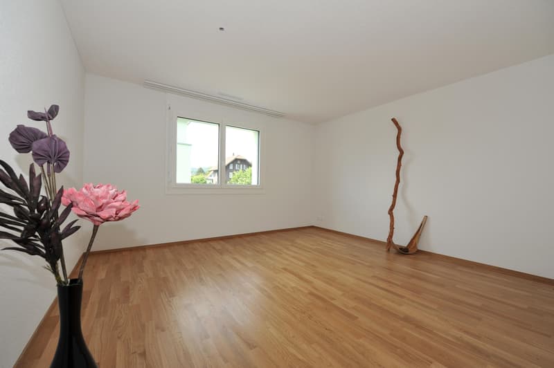 Moderne Erdgeschoss-Wohnung (3)