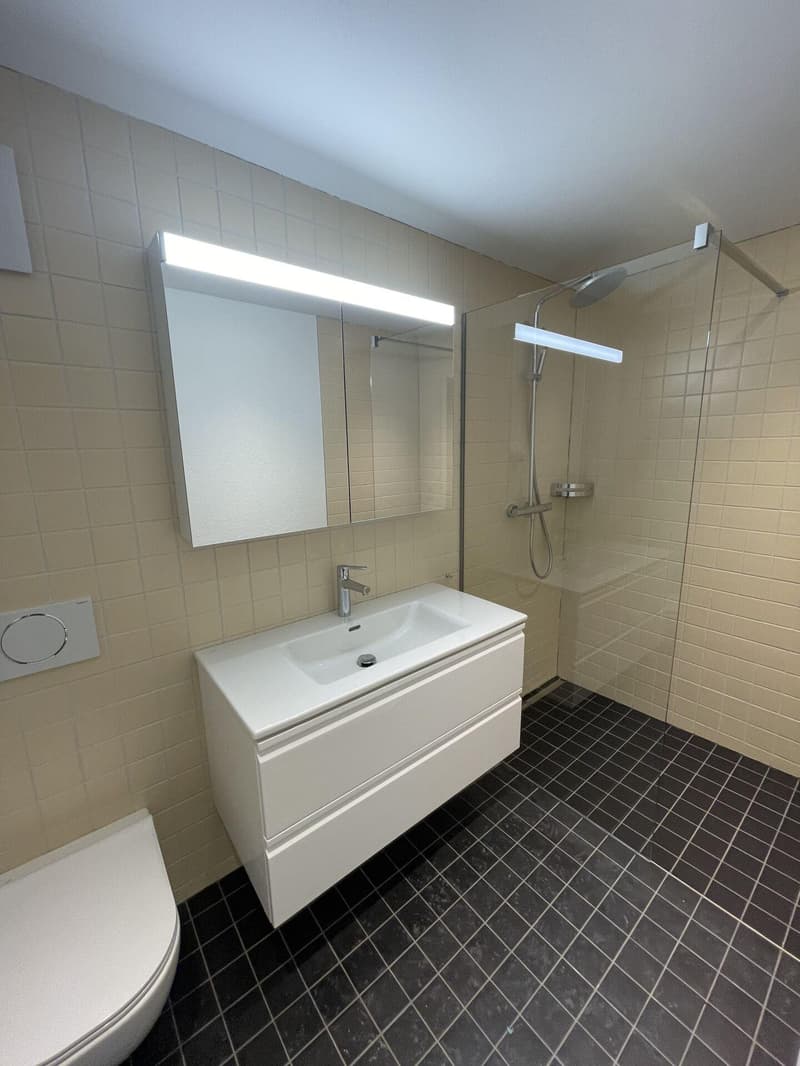 Total sanierte 3.5-Zimmerwohnung im Seidenbergquartier (3)