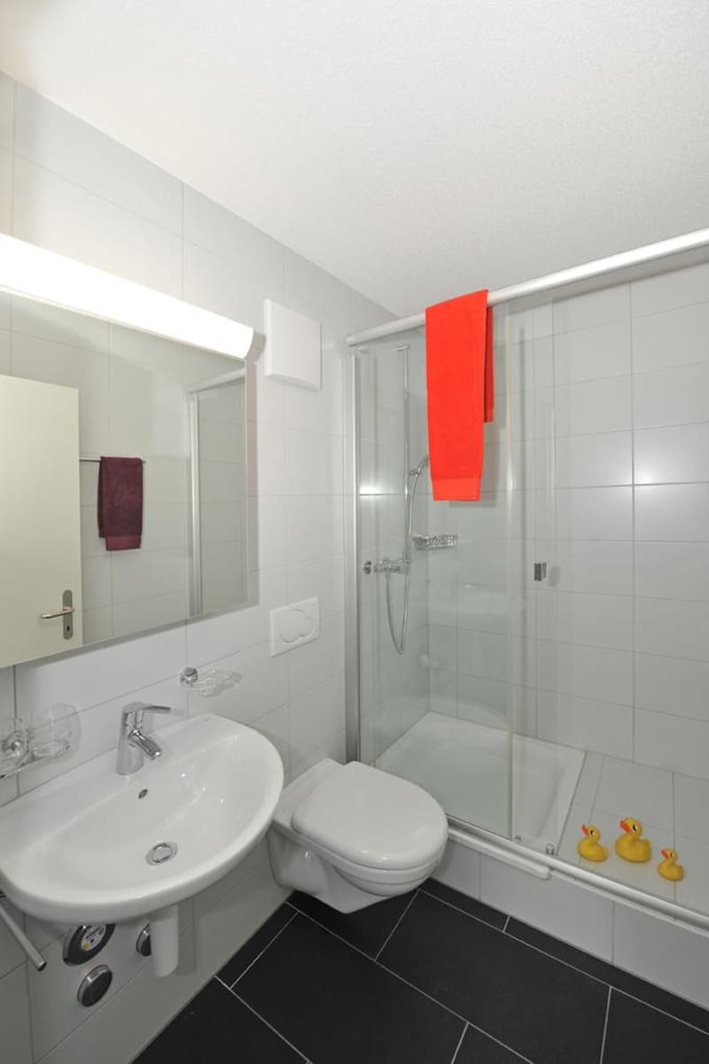 4.5 Zimmerwohnung in Niederwangen b. Bern (3)