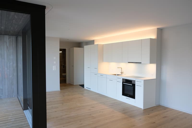 Topmoderne 2.5 Zimmerwohnung im Grünen (3)
