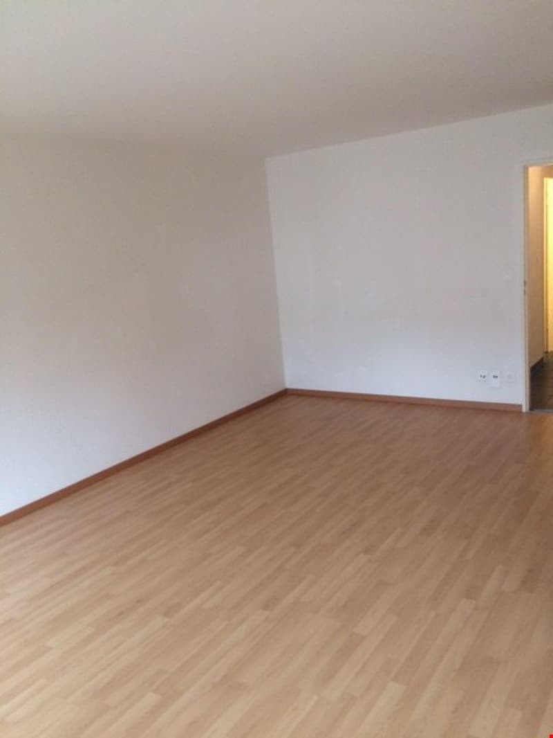 Wohnen mit Gratiseintritt ins Quartierhallenbad Kappelisacker! (5)