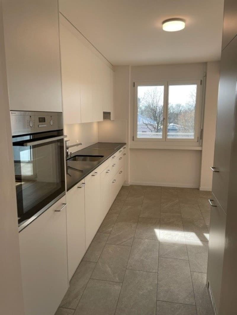 Ihr neues Zuhause im Schweizerhubelquartier (3)