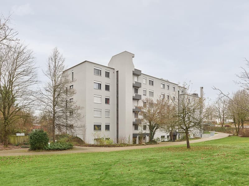 Ihr neues Zuhause im Schweizerhubelquartier (9)