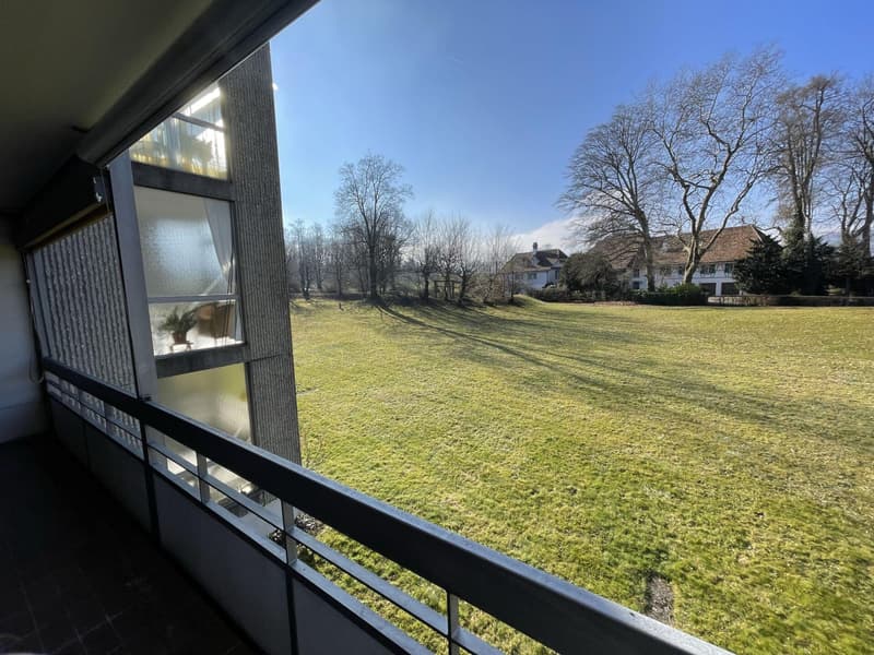 2.5-Zimmerwohnung mit unverbaubarer Aussicht (10)