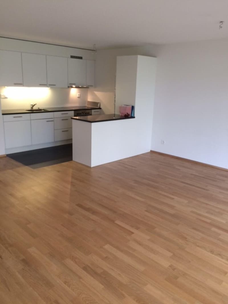 Grosszügige 3.5-Zimmerwohnung in Oensingen (2)