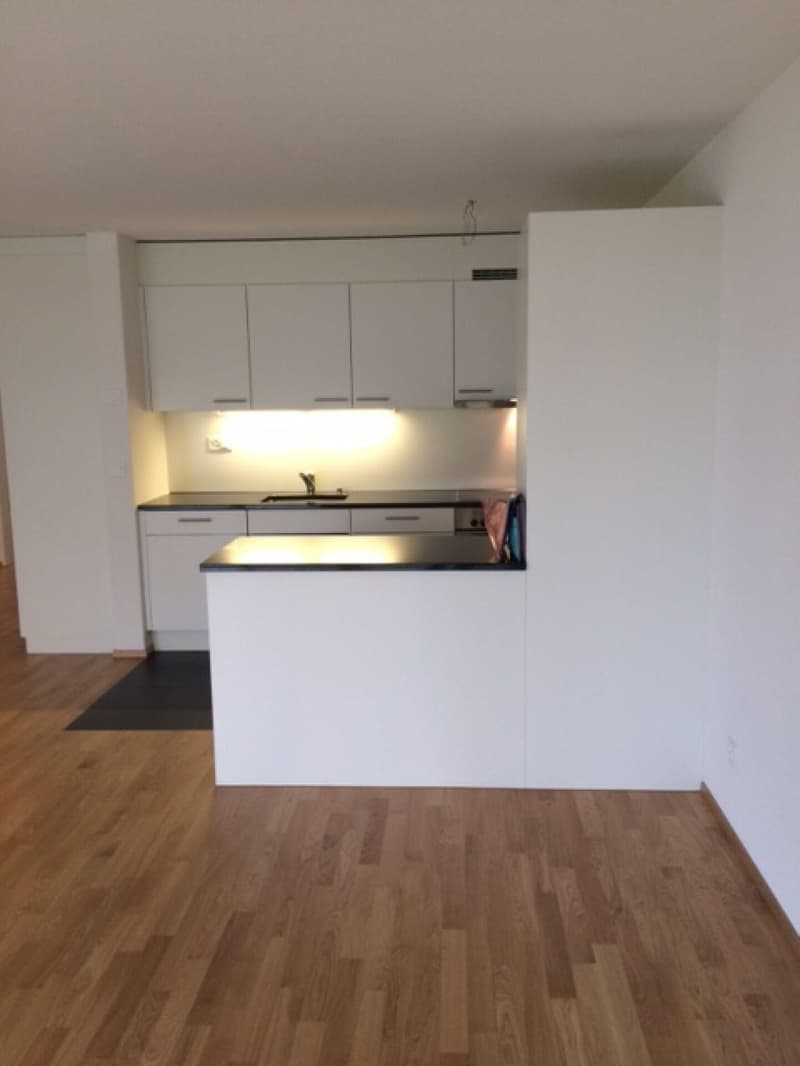 Grosszügige 3.5-Zimmerwohnung in Oensingen (3)