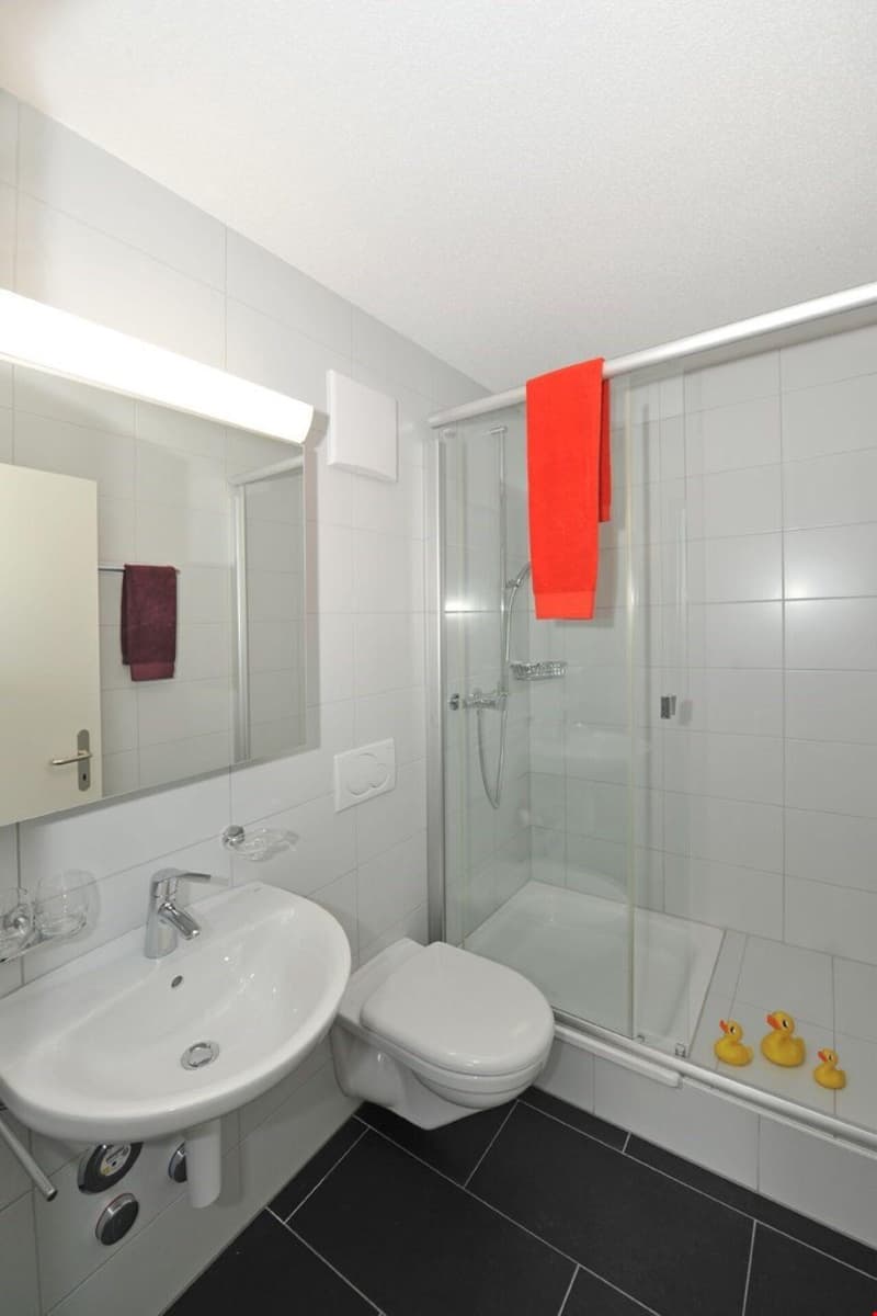 Familienwohnung gesucht? (3)