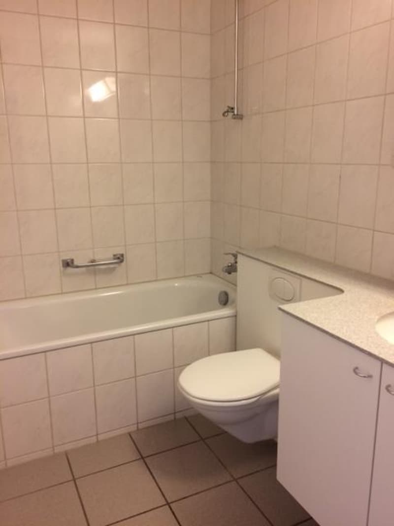 3.5-Zimmerwohnung in Langendorf (8)