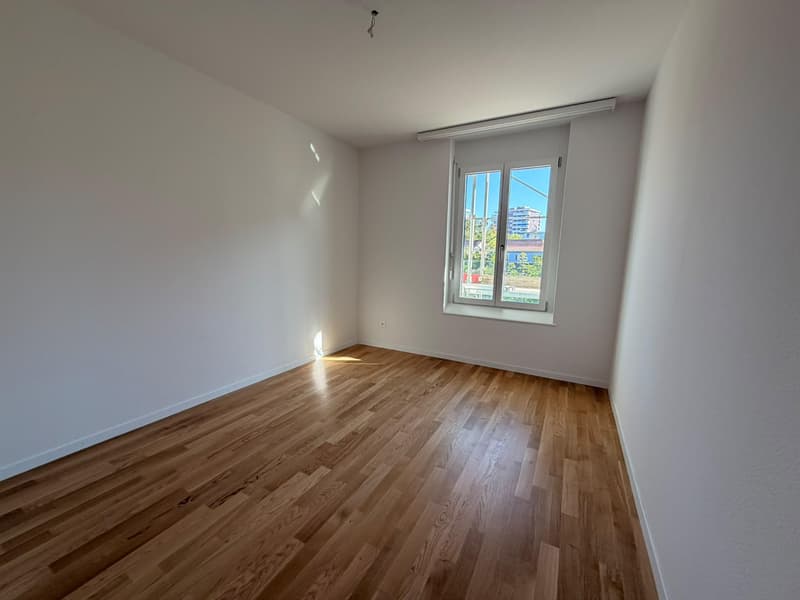 neu sanierte 2.5-Zimmerwohnung im idyllischen Rheinfelden (5)