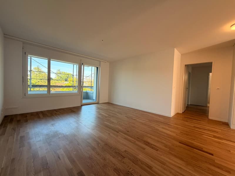 neu sanierte 2.5-Zimmerwohnung im idyllischen Rheinfelden (3)