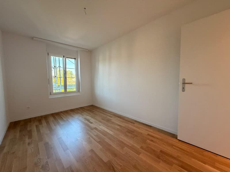 neu sanierte 2.5-Zimmerwohnung im idyllischen Rheinfelden (4)
