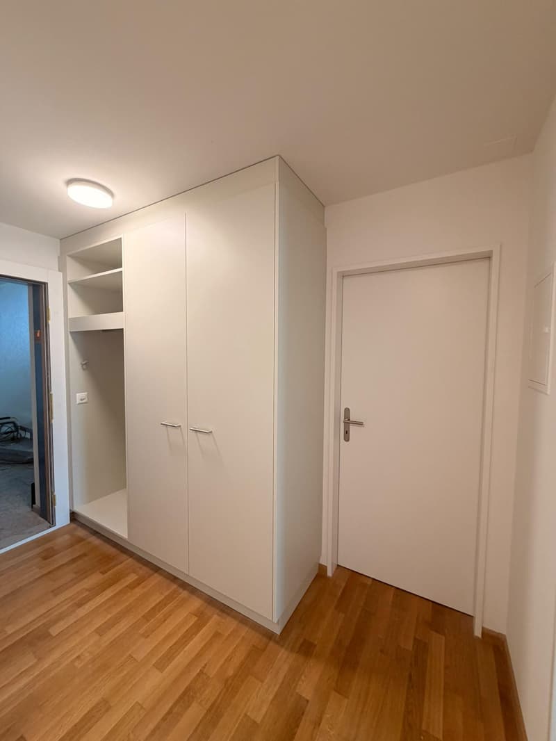 neu sanierte 2.5-Zimmerwohnung im idyllischen Rheinfelden (6)