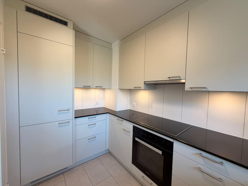 Neu sanierte 4.5 Zimmerwohnung in Rheinfelden (1)