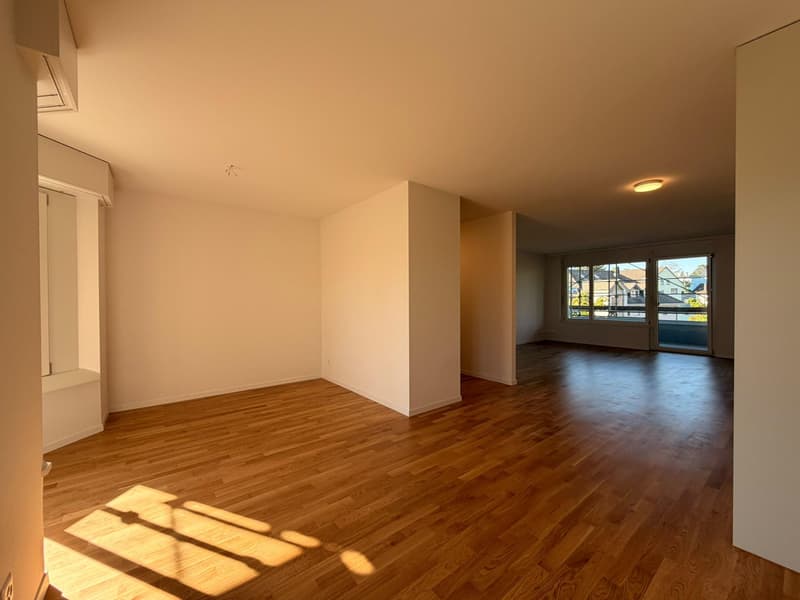 Neu sanierte 4.5 Zimmerwohnung in Rheinfelden (6)