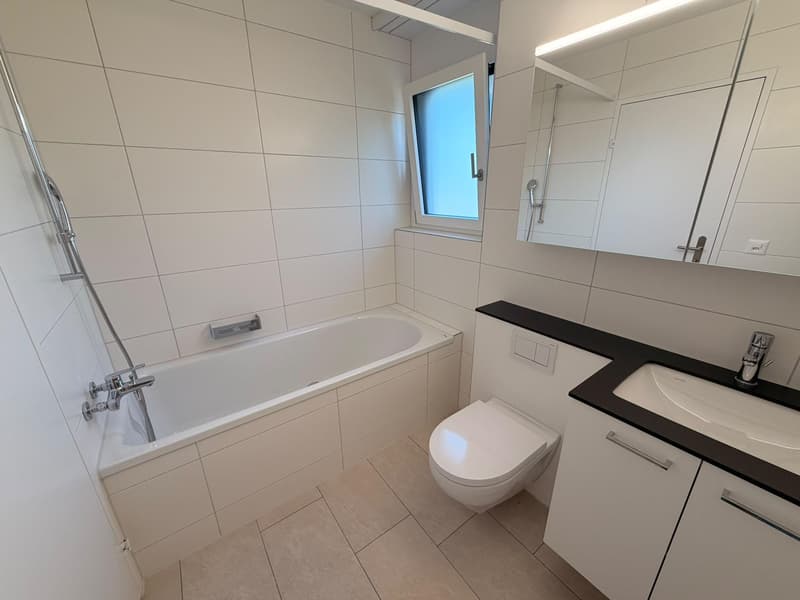 Neu sanierte 4.5 Zimmerwohnung in Rheinfelden (3)