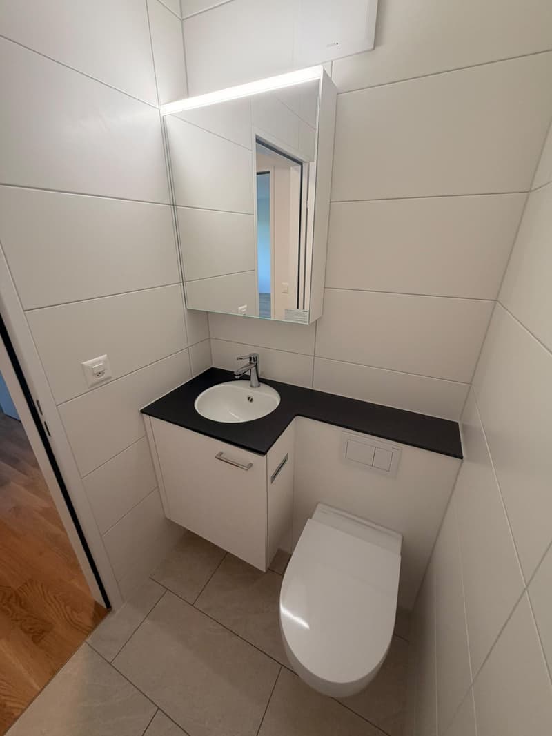 Neu sanierte 4.5 Zimmerwohnung in Rheinfelden (4)