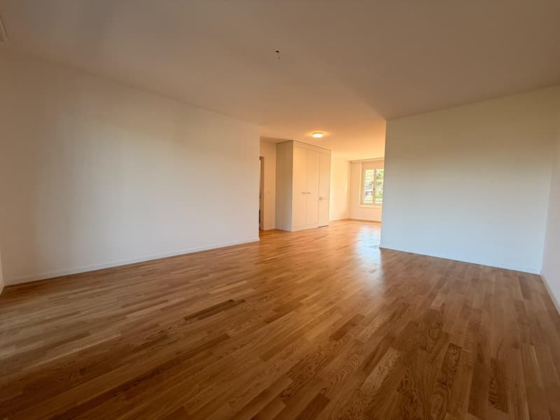 Neu sanierte 4.5 Zimmerwohnung in Rheinfelden (8)