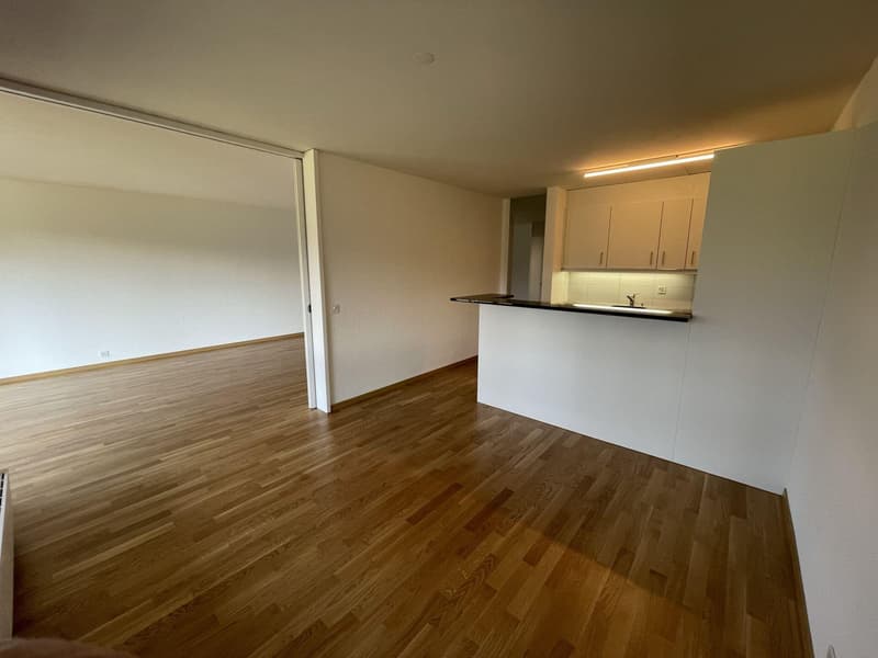 2.5-Zimmerwohnung mit unverbaubarer Aussicht (3)