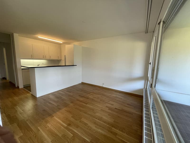 2.5-Zimmerwohnung mit unverbaubarer Aussicht (2)