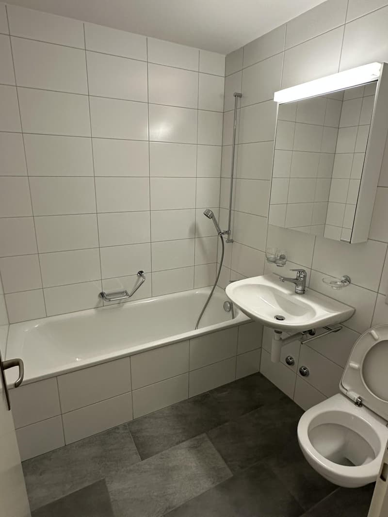 2.5-Zimmerwohnung mit unverbaubarer Aussicht (7)
