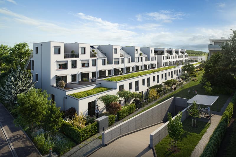 4.5-Zimmerwohnung im Erdgeschoss in Bülach (6)